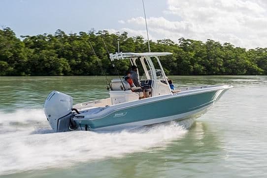 Boston Whaler 250 Dauntless for Sale