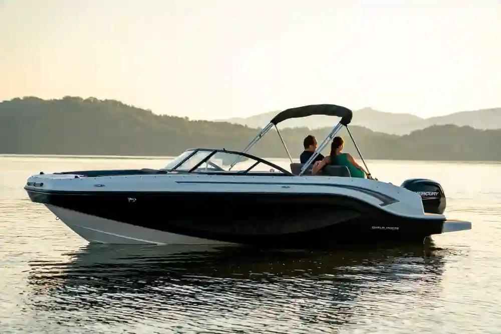 Bayliner DX2000 a la venta
