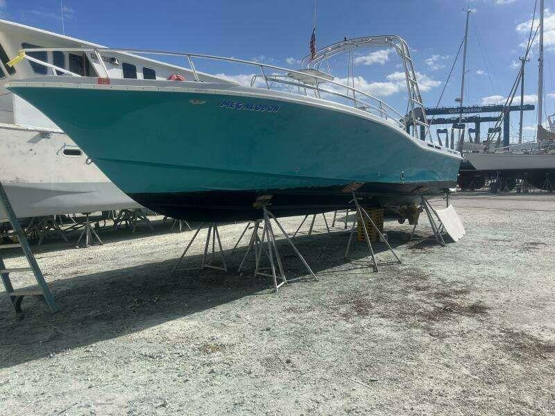 CWS Ocean Pro 35 For Sale