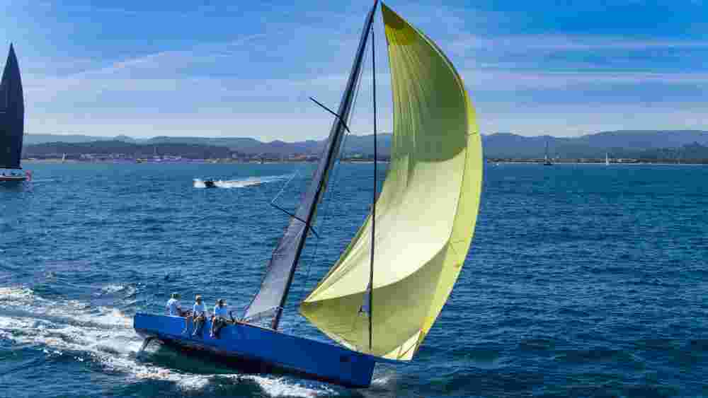 2024 Black Pepper Code 0.1