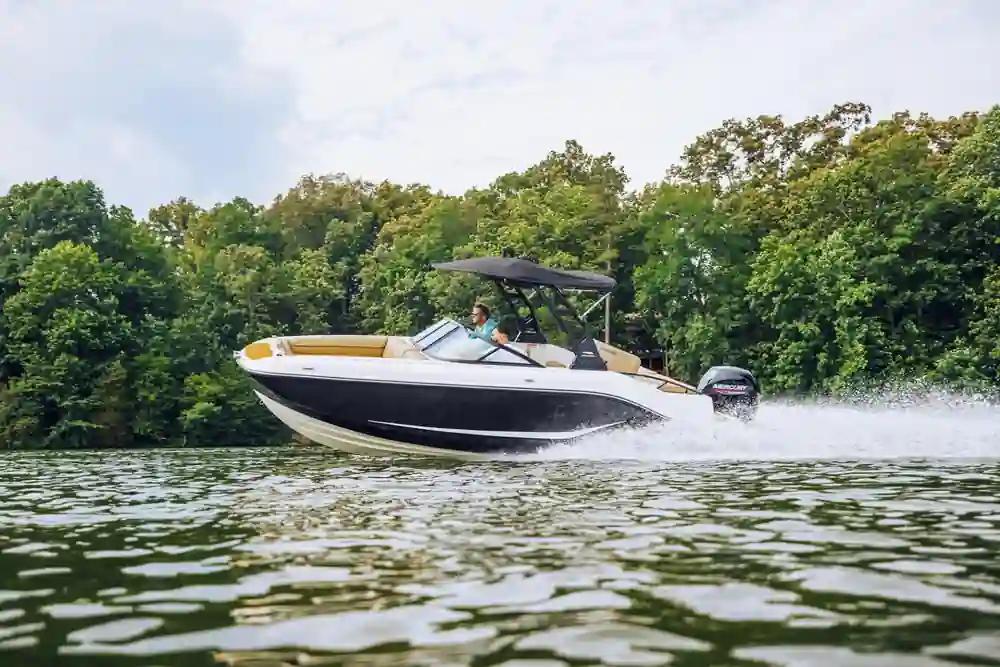 Bayliner D20 For Sale