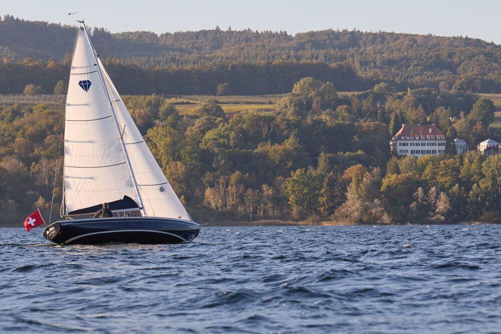 Saffier Sc 6.50 Cruise te koop