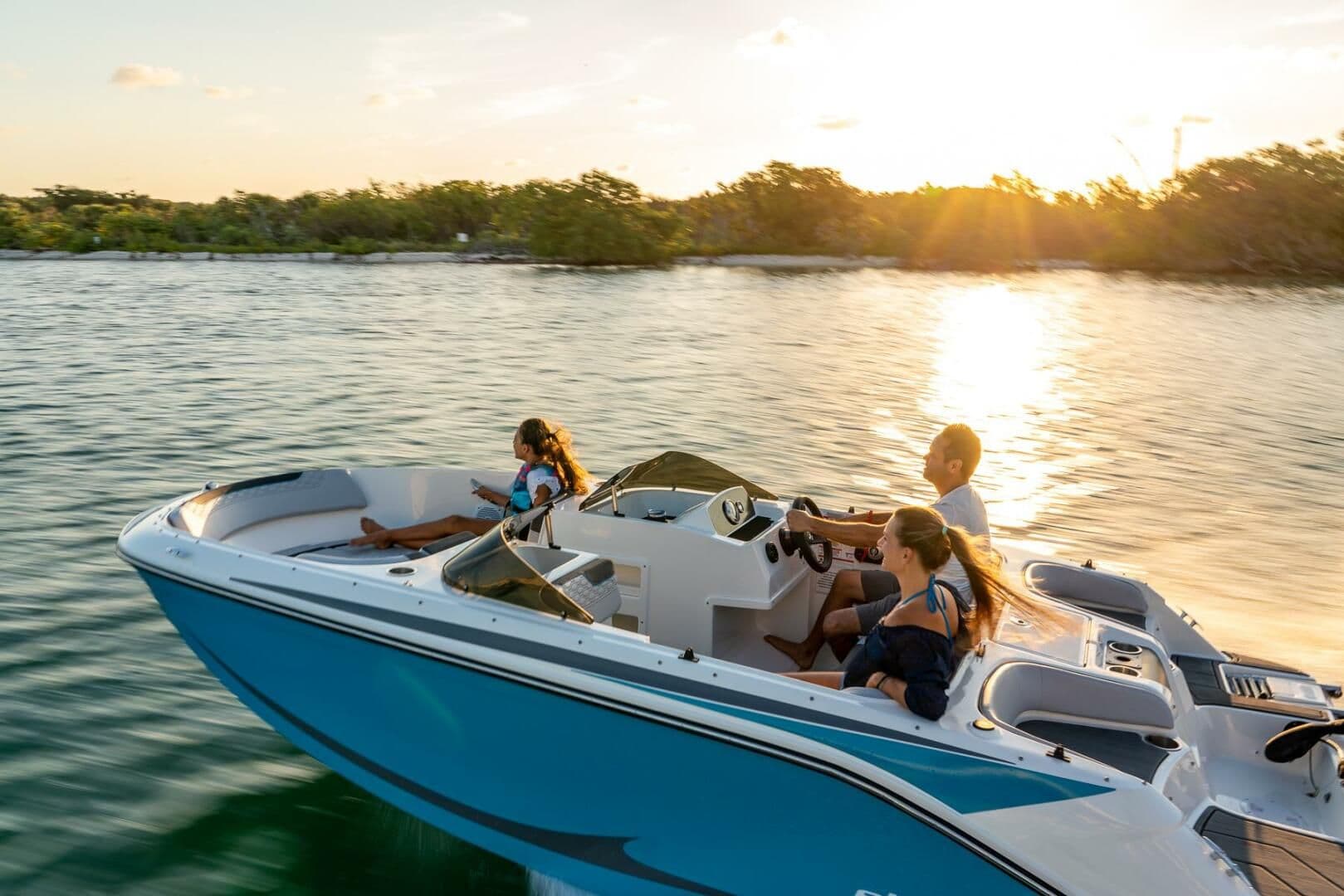 Bayliner M17 for Sale