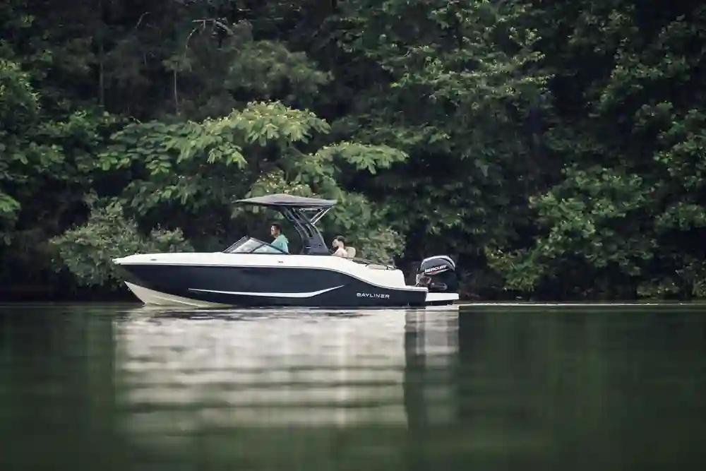 Bayliner D20 For Sale