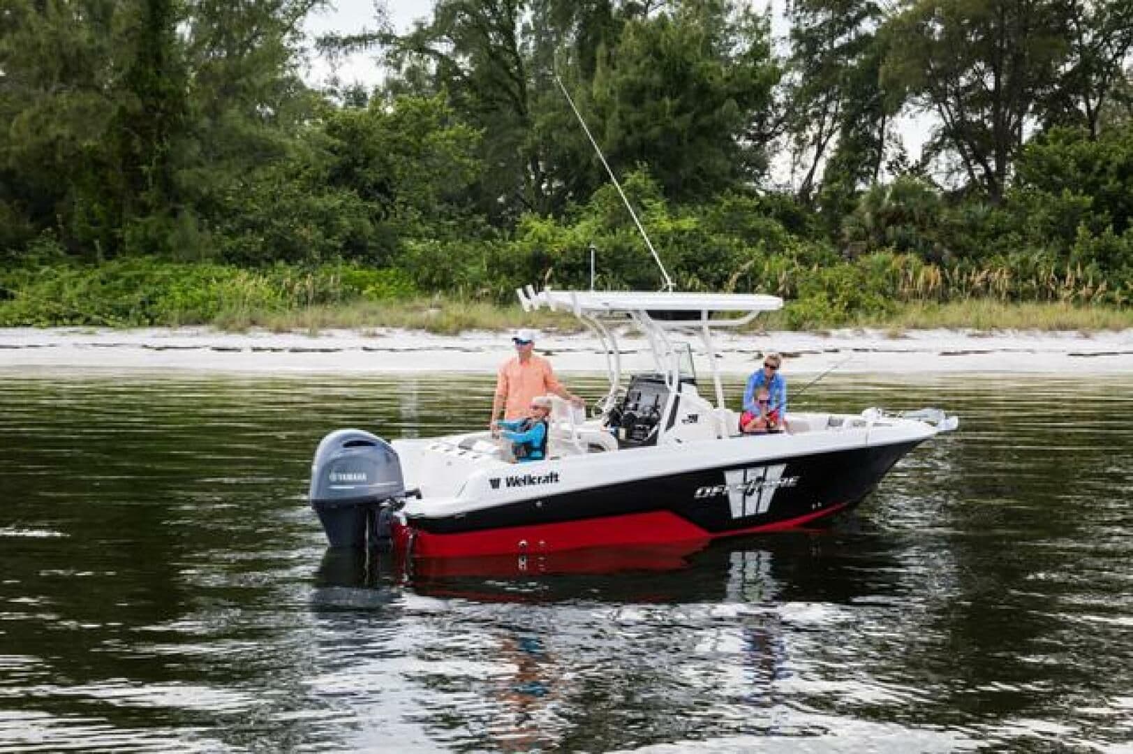 Wellcraft 222F for Sale