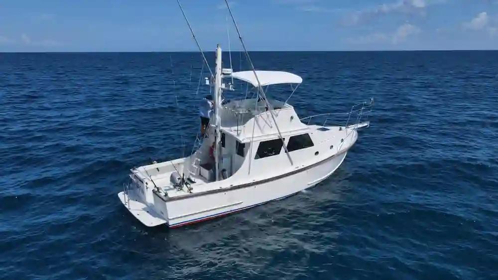 Wilbur 38 For Sale