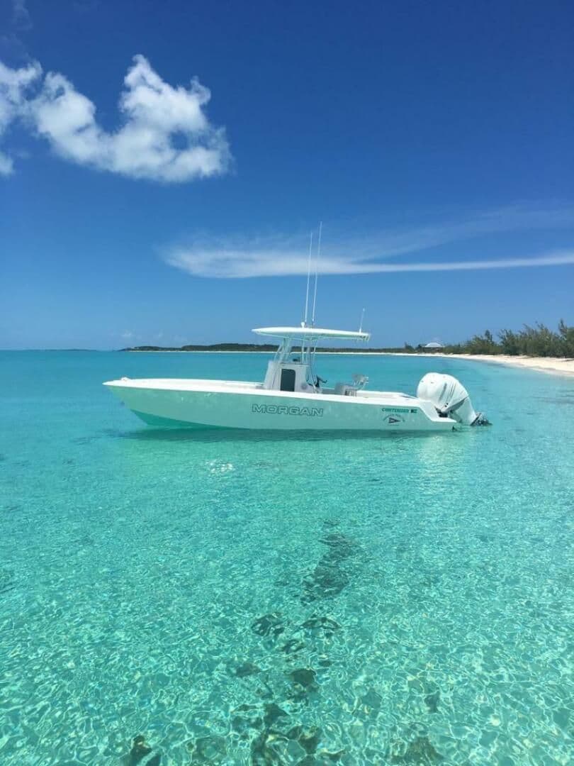 Contender 28 Sport for Sale