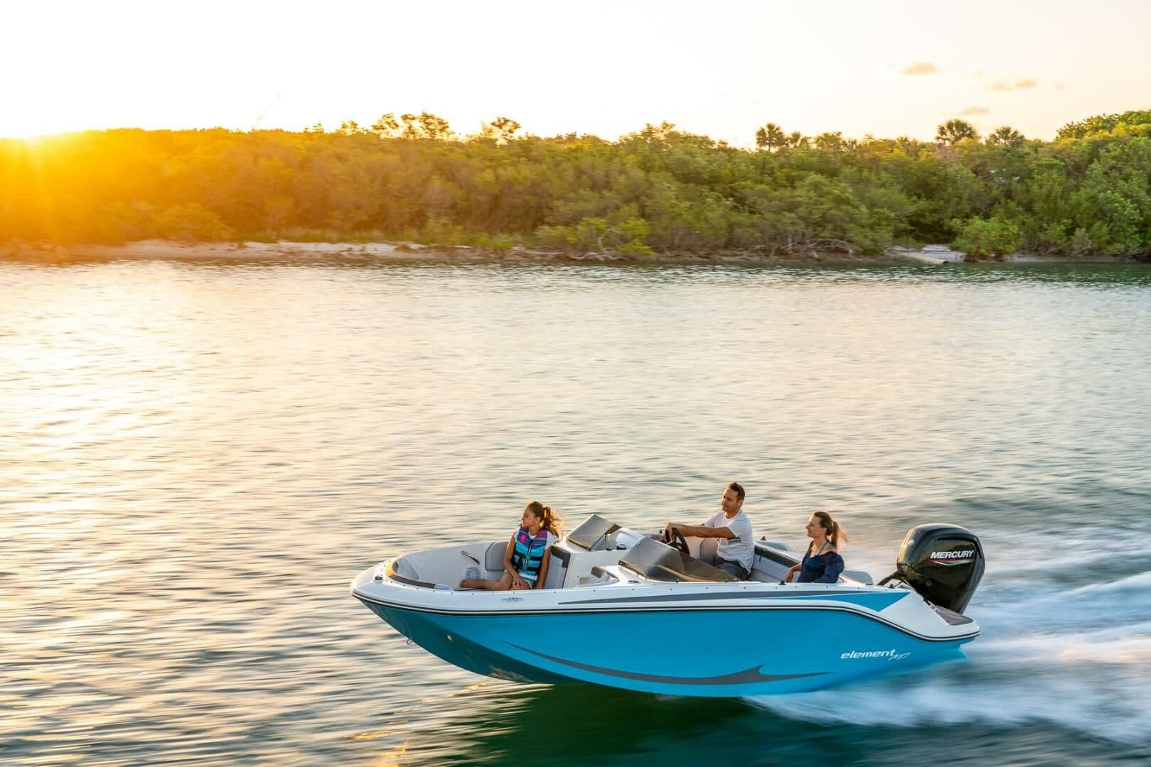 Bayliner M17 for Sale