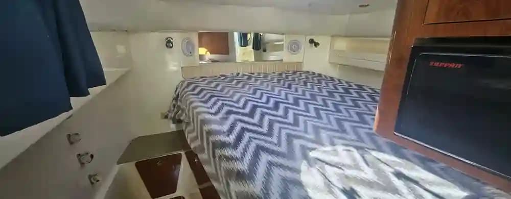 2008 World Cat 320 EC in vendita a Treasure Island, Florida Saltwater Fishing 2