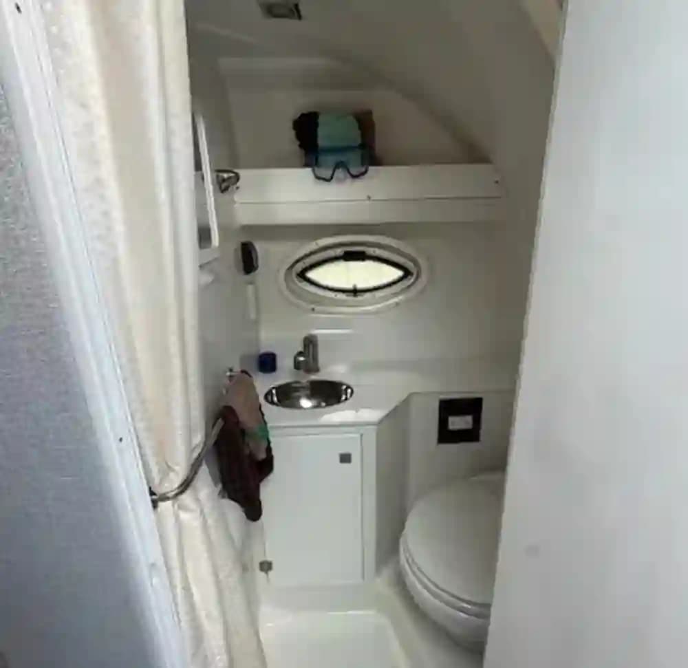 2019 Monterey 295 Sport Yacht for Sale in West Palm Beach, Florida Sport Cruiser 5