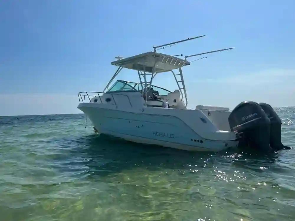 Robalo R305 in vendita