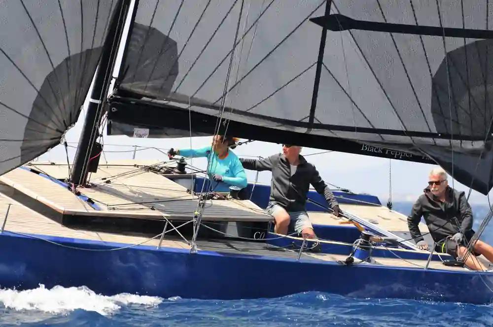 Black Pepper Code 0.1 For Sale