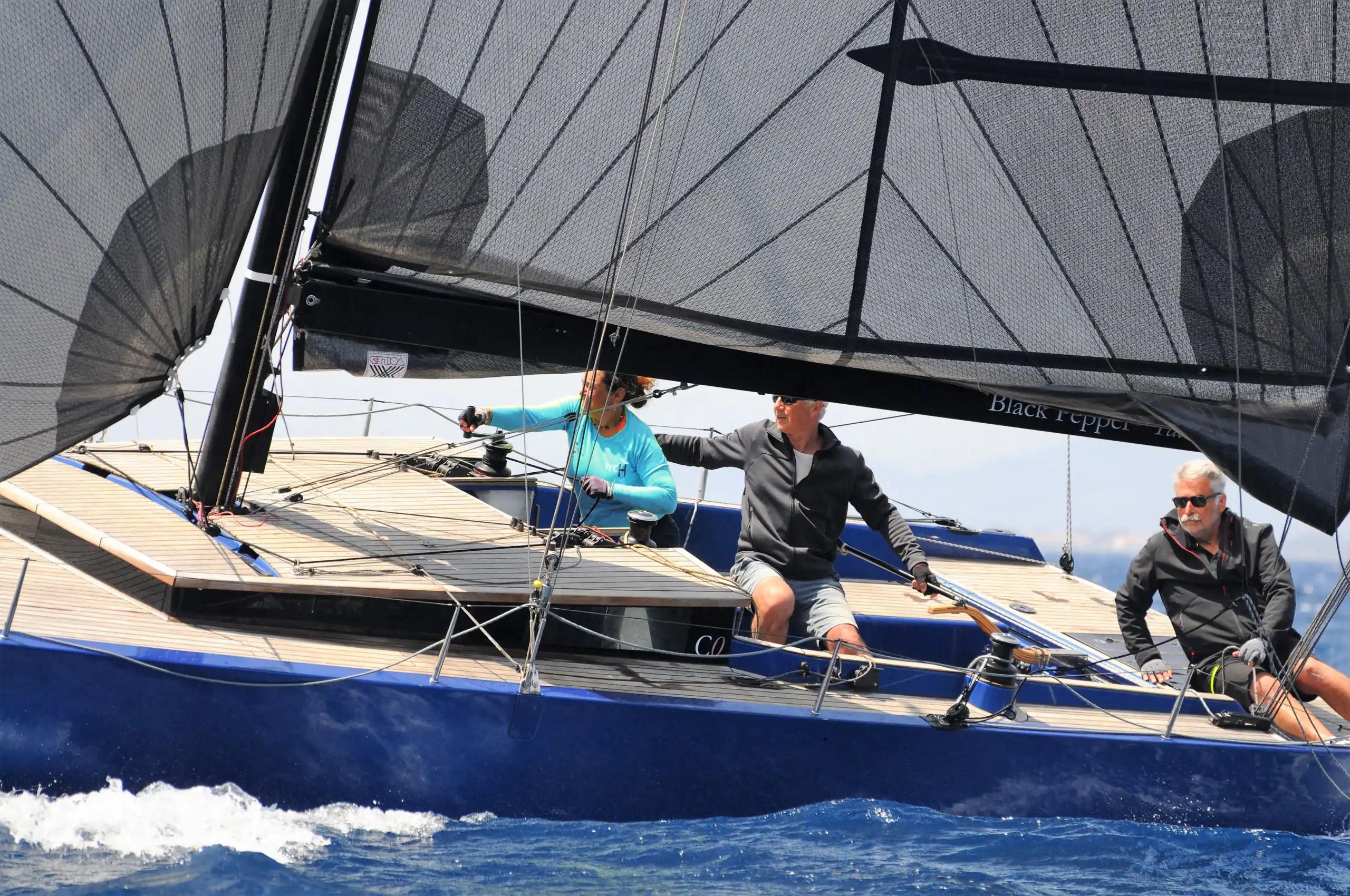 Black Pepper Code 0.1 For Sale