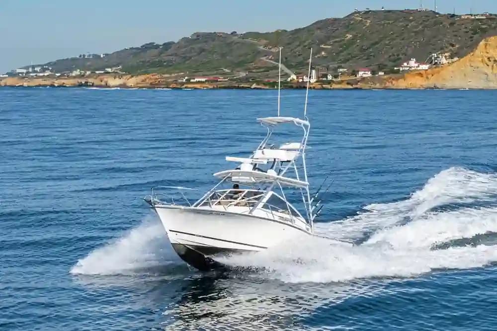 Carolina Classic 28 Express for Sale