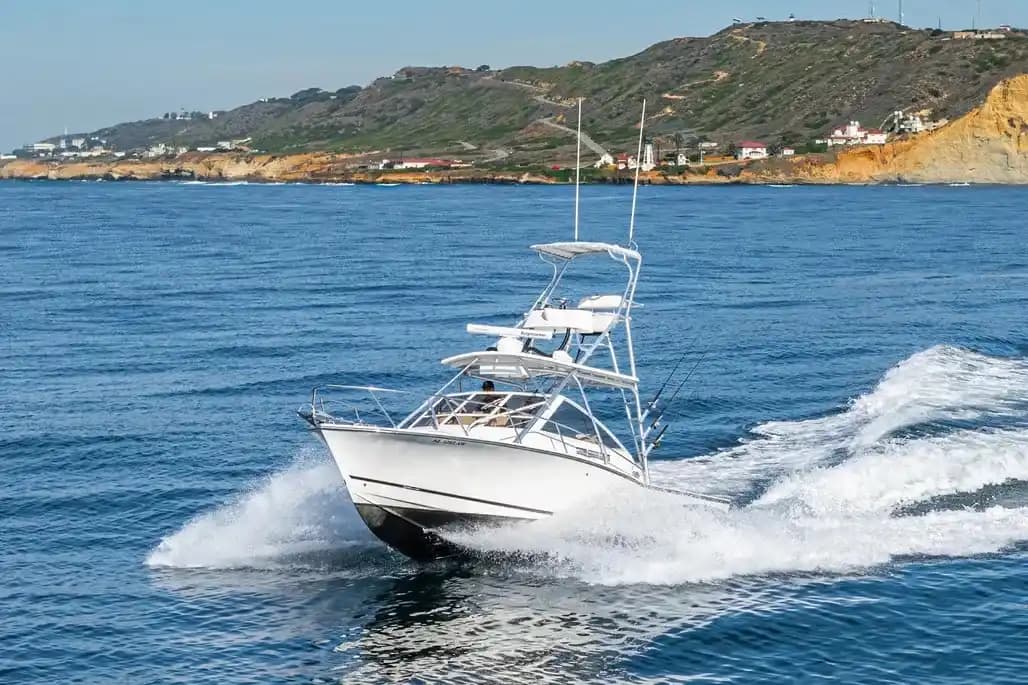 Carolina Classic 28 Express for Sale