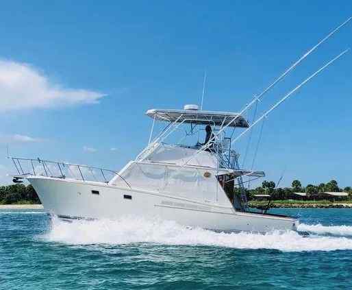 Yacht