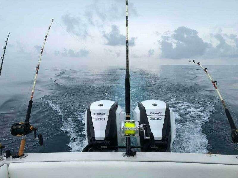 Wellcraft Scarab 30 Cuddy zum Verkauf