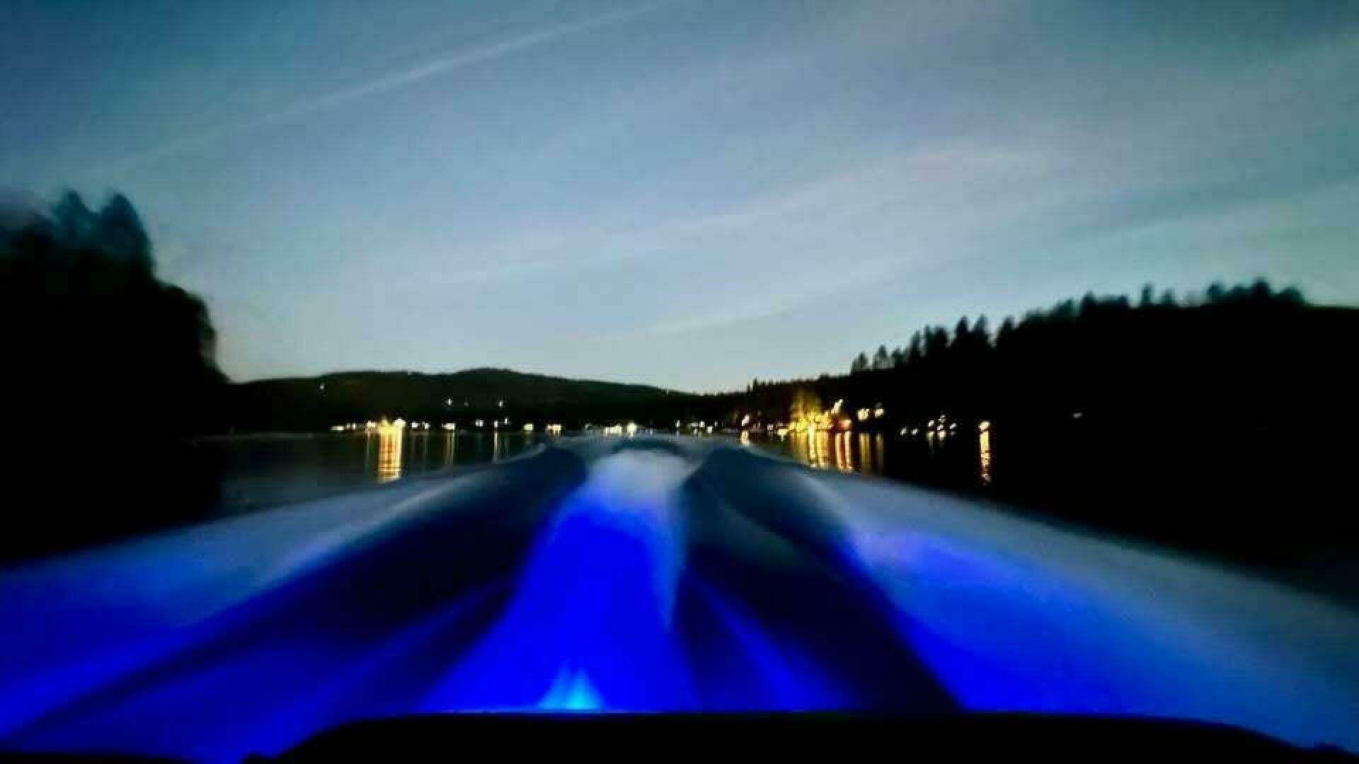 Yamaha 252S zum Verkauf