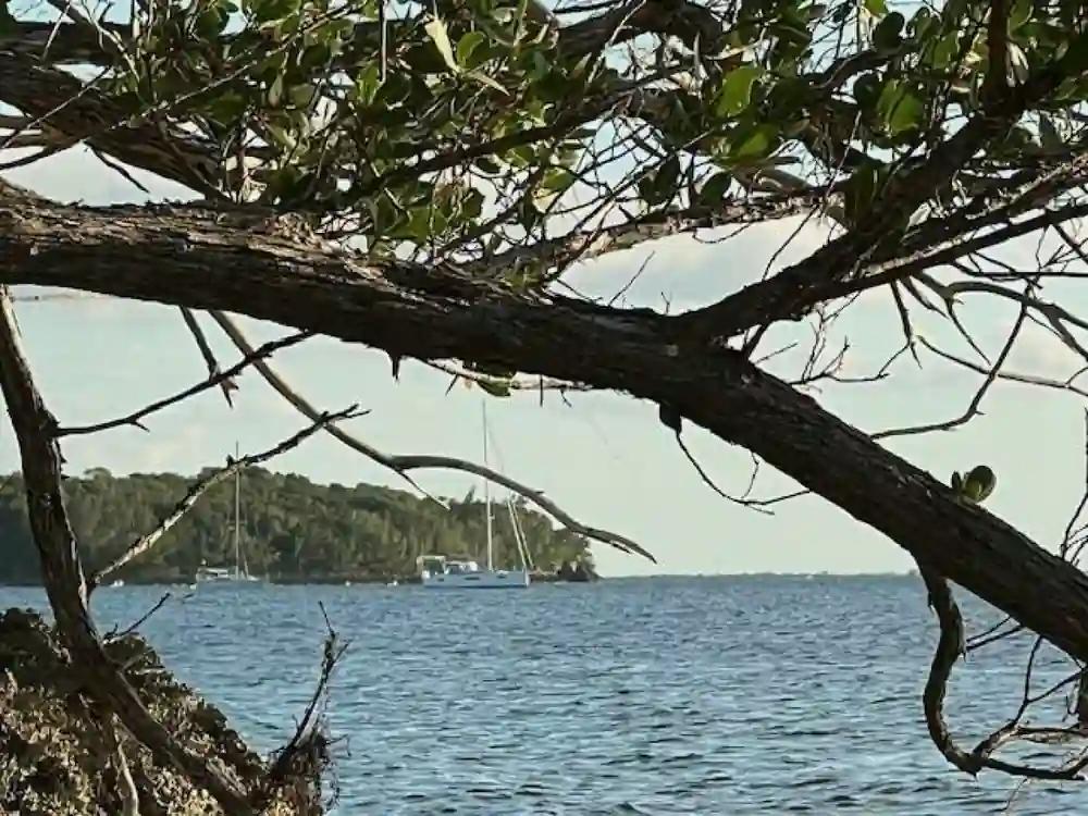 Jeanneau Sun Odyssey 410 For Sale