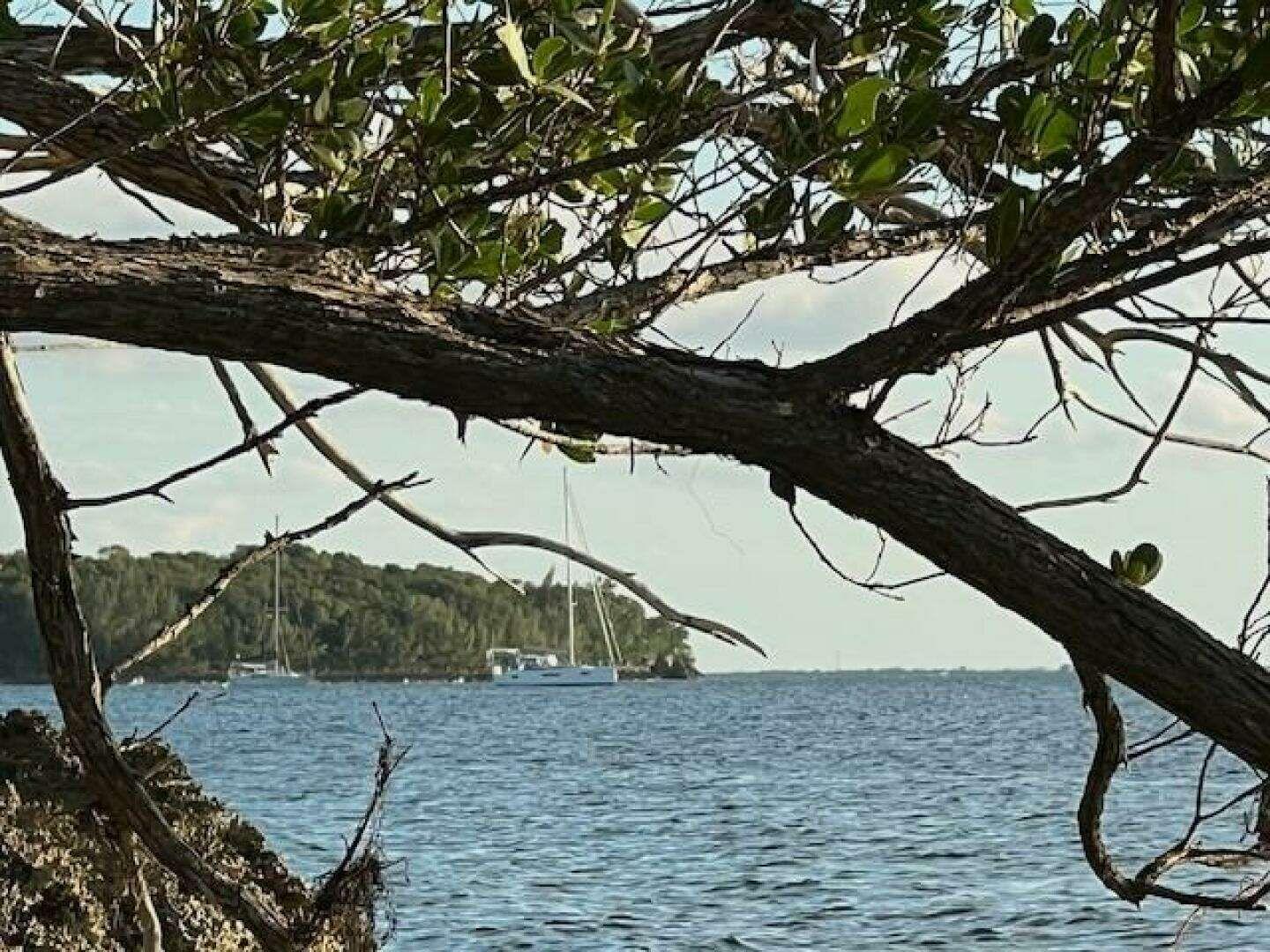 Jeanneau Sun Odyssey 410 For Sale