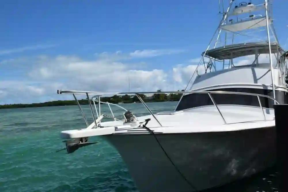 Sunny Briggs 50' zum Verkauf