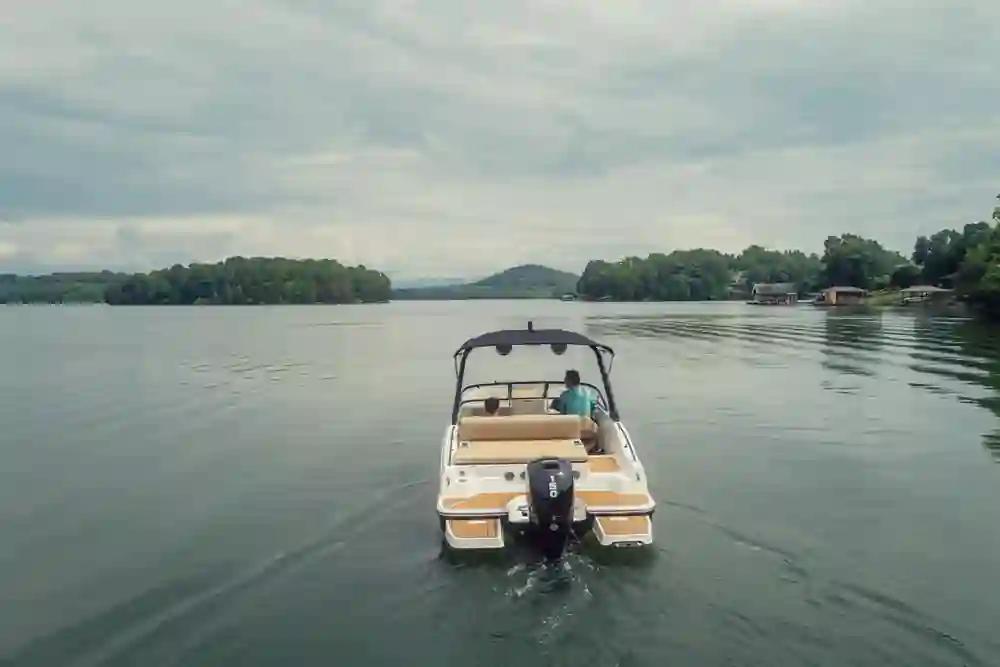 Bayliner D20 For Sale