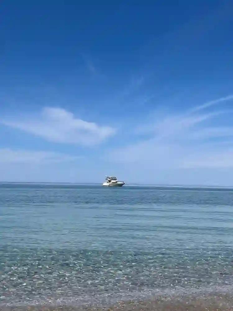 Regal 3780 Commodore à vendre