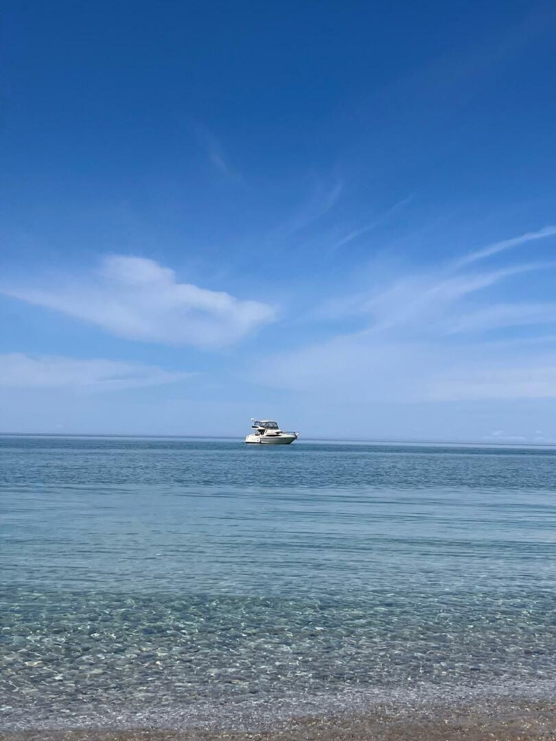 Regal 3780 Commodore à vendre