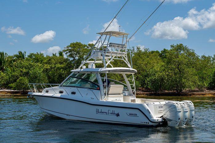 2015-boston-whaler-345-conquest-power-9826436-20250604083206874-1_XLARGE (1).jpg
