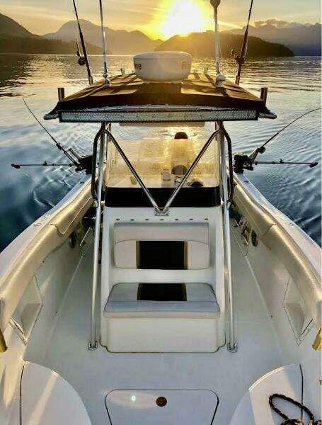 Hydra-Sports 2796 Vector te koop