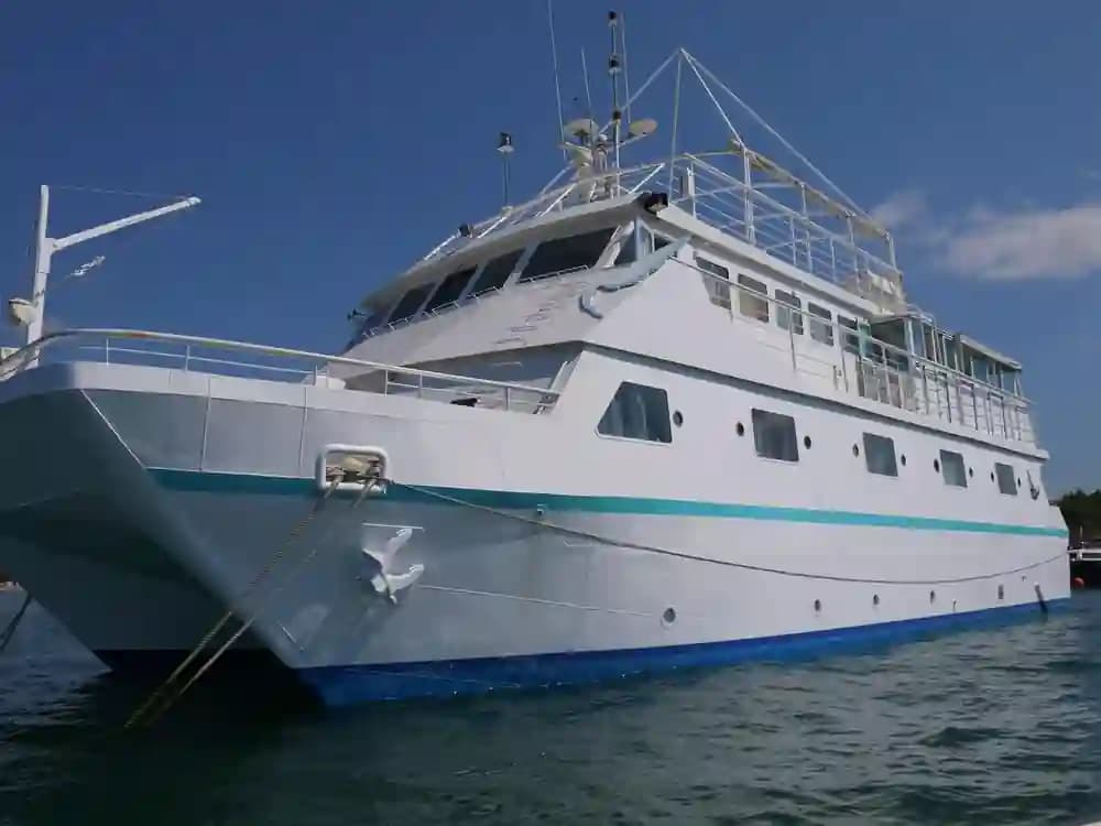 Custom Poseidon Motor Catamaran te koop