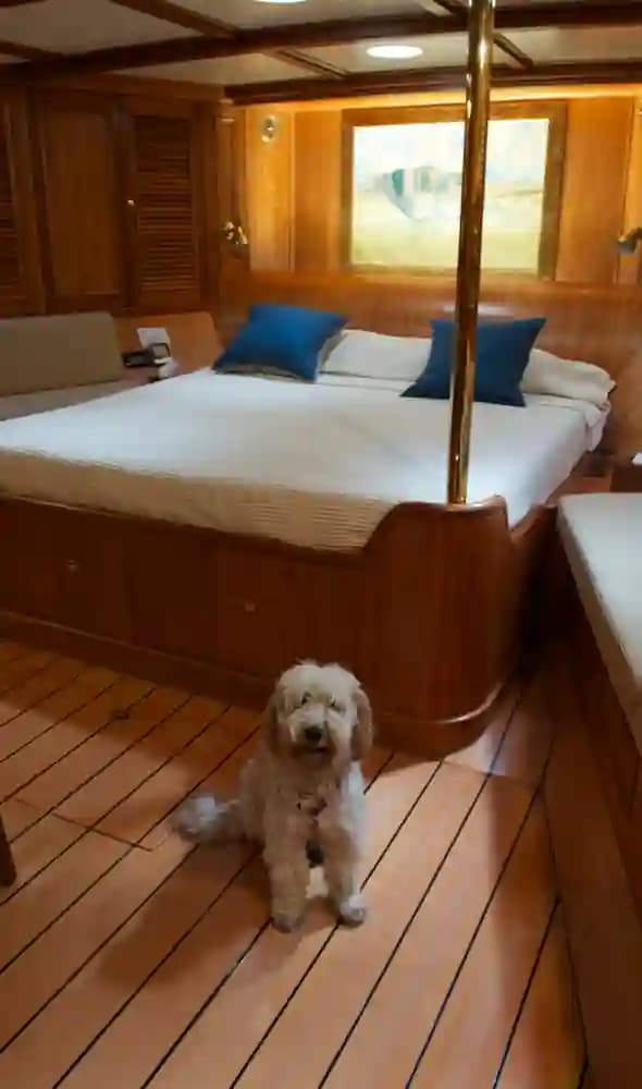 1920 J.P. Smit Motorsailer Schooner for Sale in Arenzano, IT Schooner 5