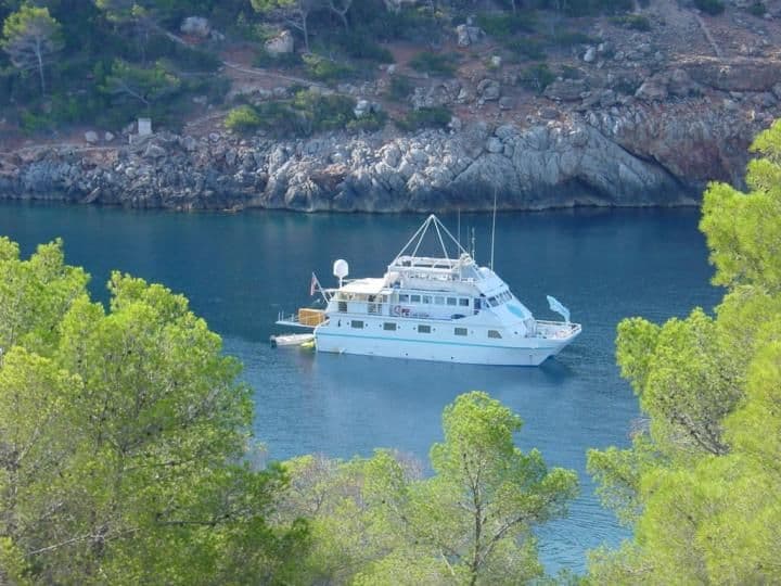 Custom Poseidon Motor Catamaran te koop