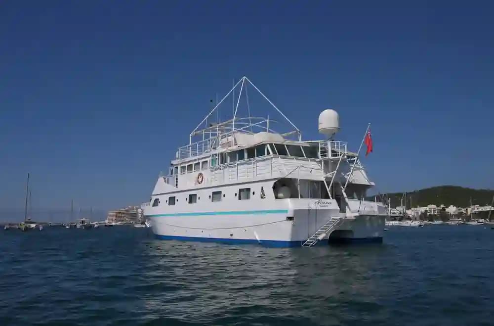 Custom Poseidon Motor Catamaran te koop