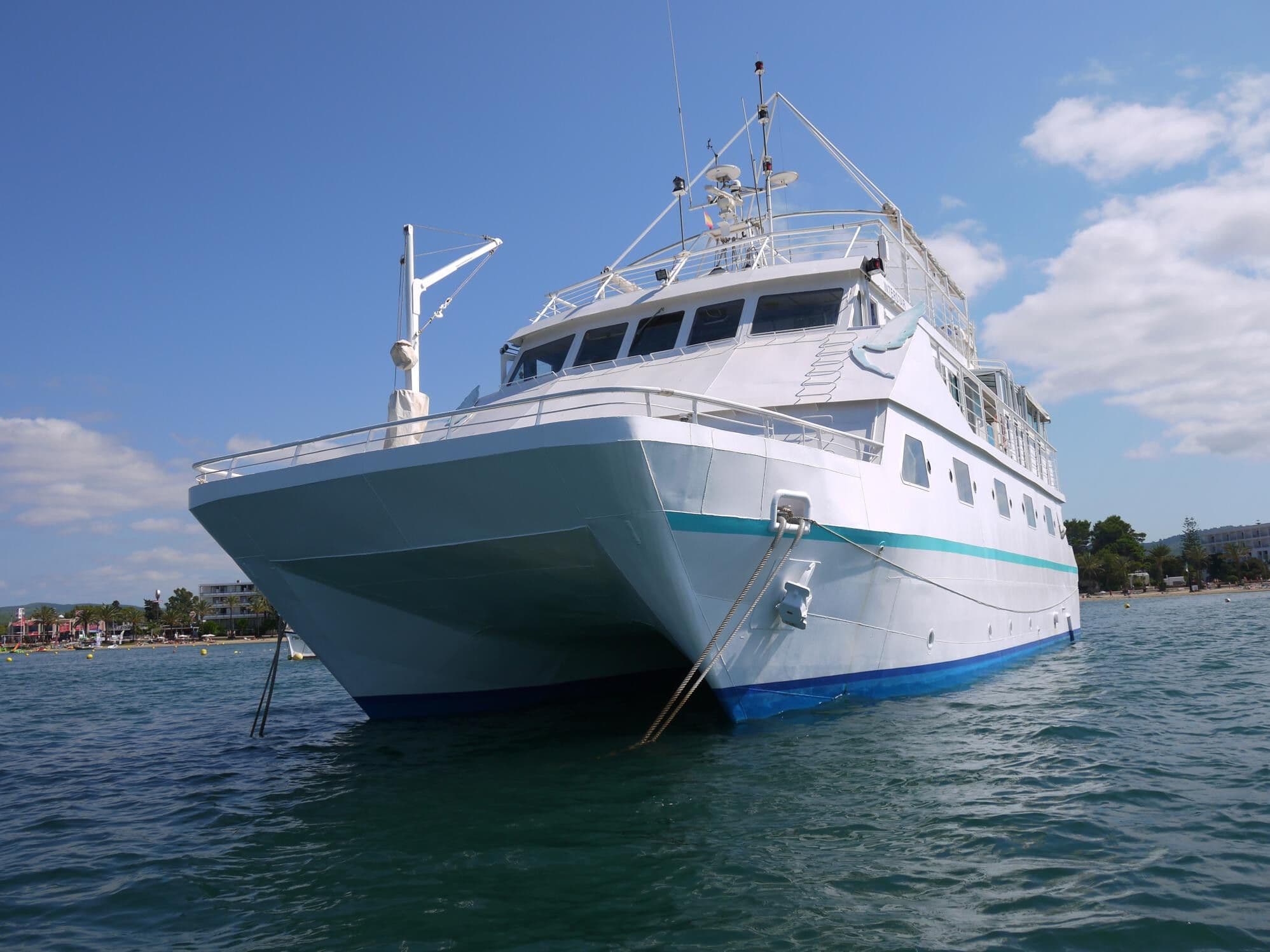 Custom Poseidon Motor Catamaran te koop