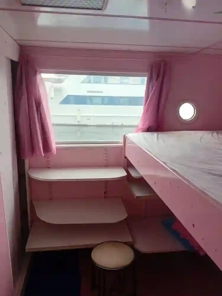 Custom Poseidon Motor Catamaran à vendre