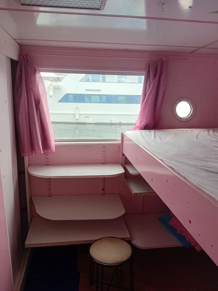 Custom Poseidon Motor Catamaran à vendre