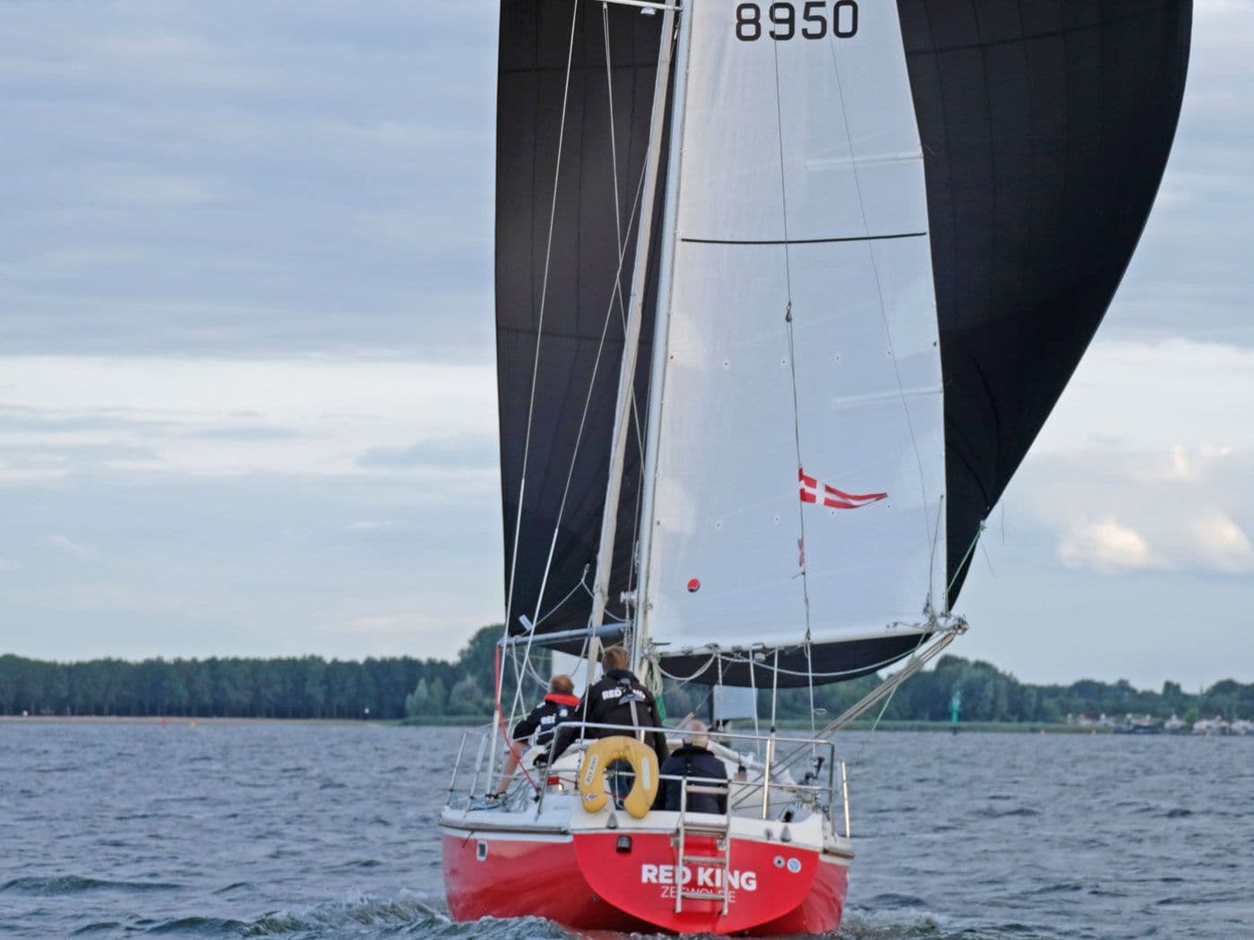 Contest 31 HT for Sale