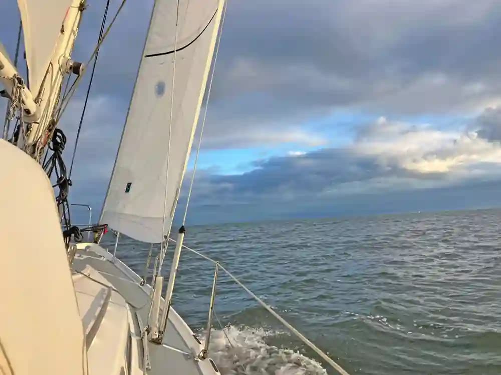 Contest 31 HT for Sale