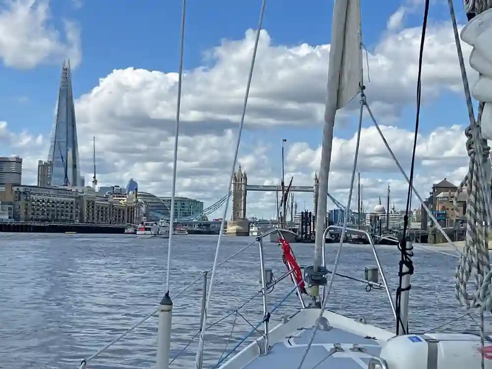 Contest 31 HT for Sale