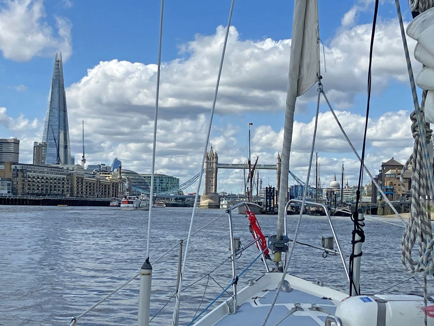 Contest 31 HT for Sale