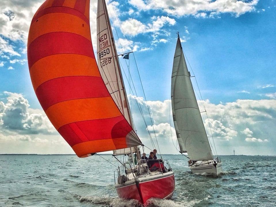 Contest 31 HT for Sale