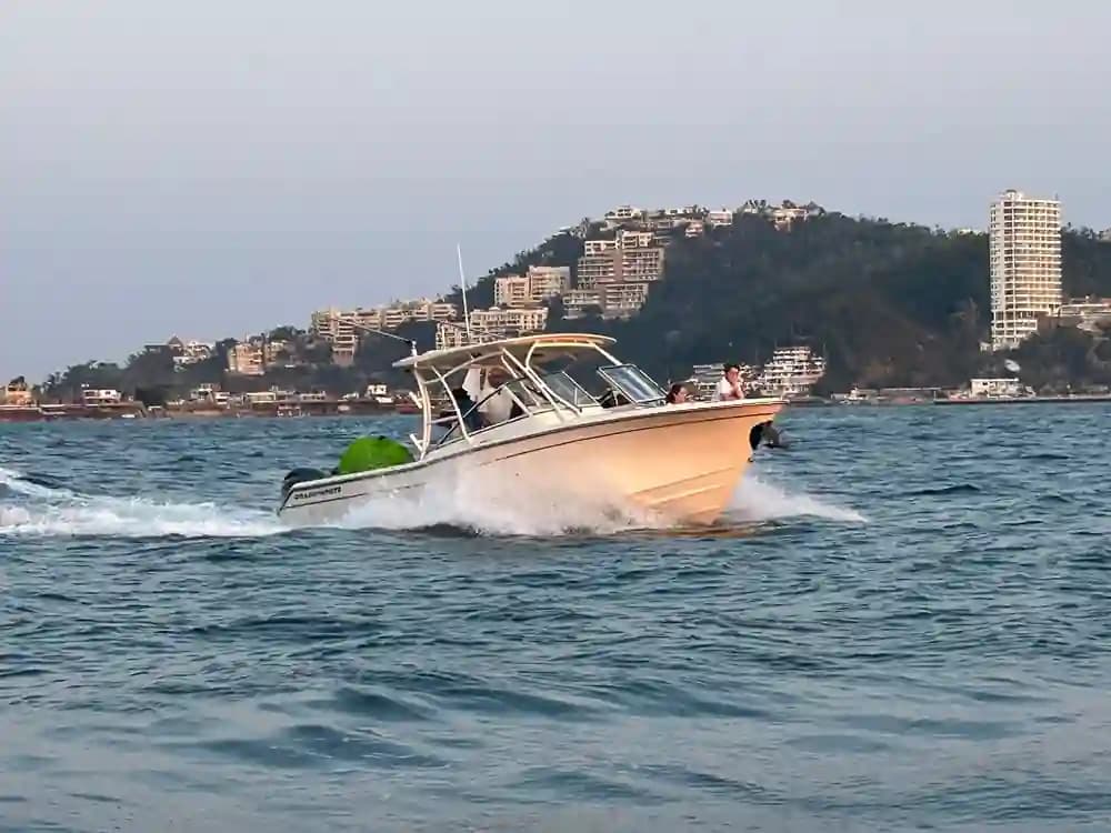 Grady-White Boats Freedom 275 for Sale