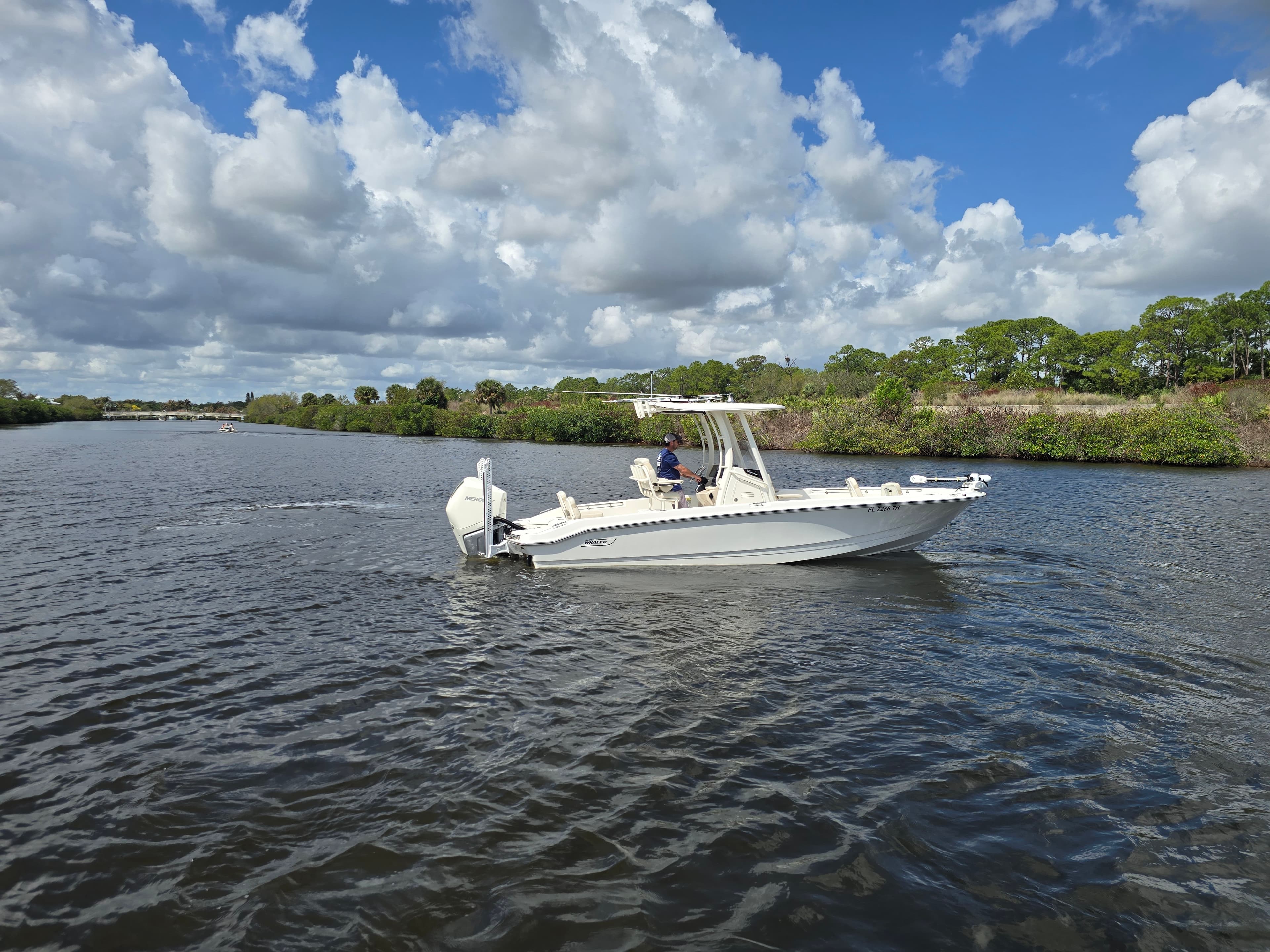 2023 Boston Whaler 250 Dauntless for Sale in Stuart, Florida Center Console 3
