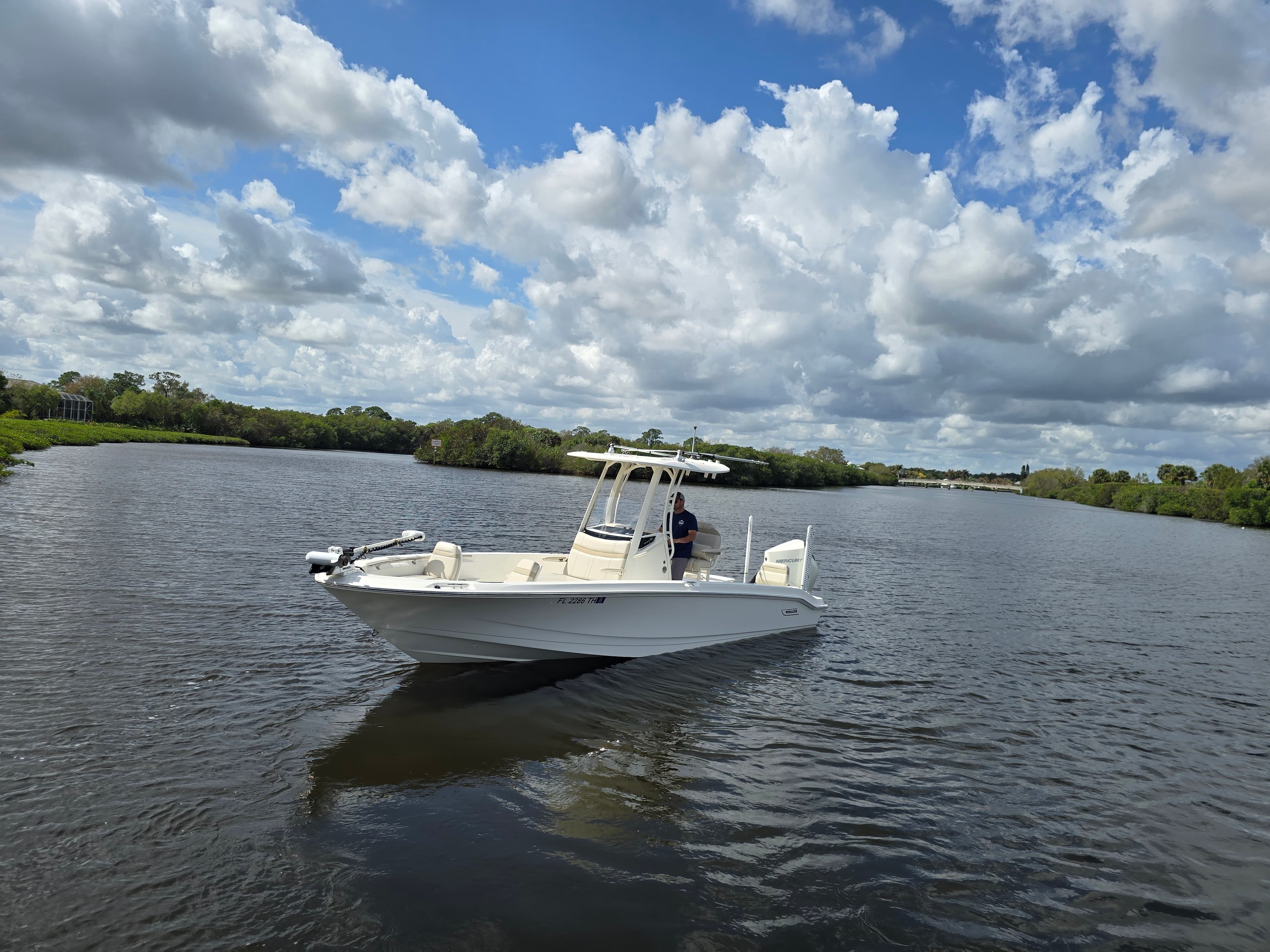 2023 Boston Whaler 250 Dauntless for Sale in Stuart, Florida Center Console 5