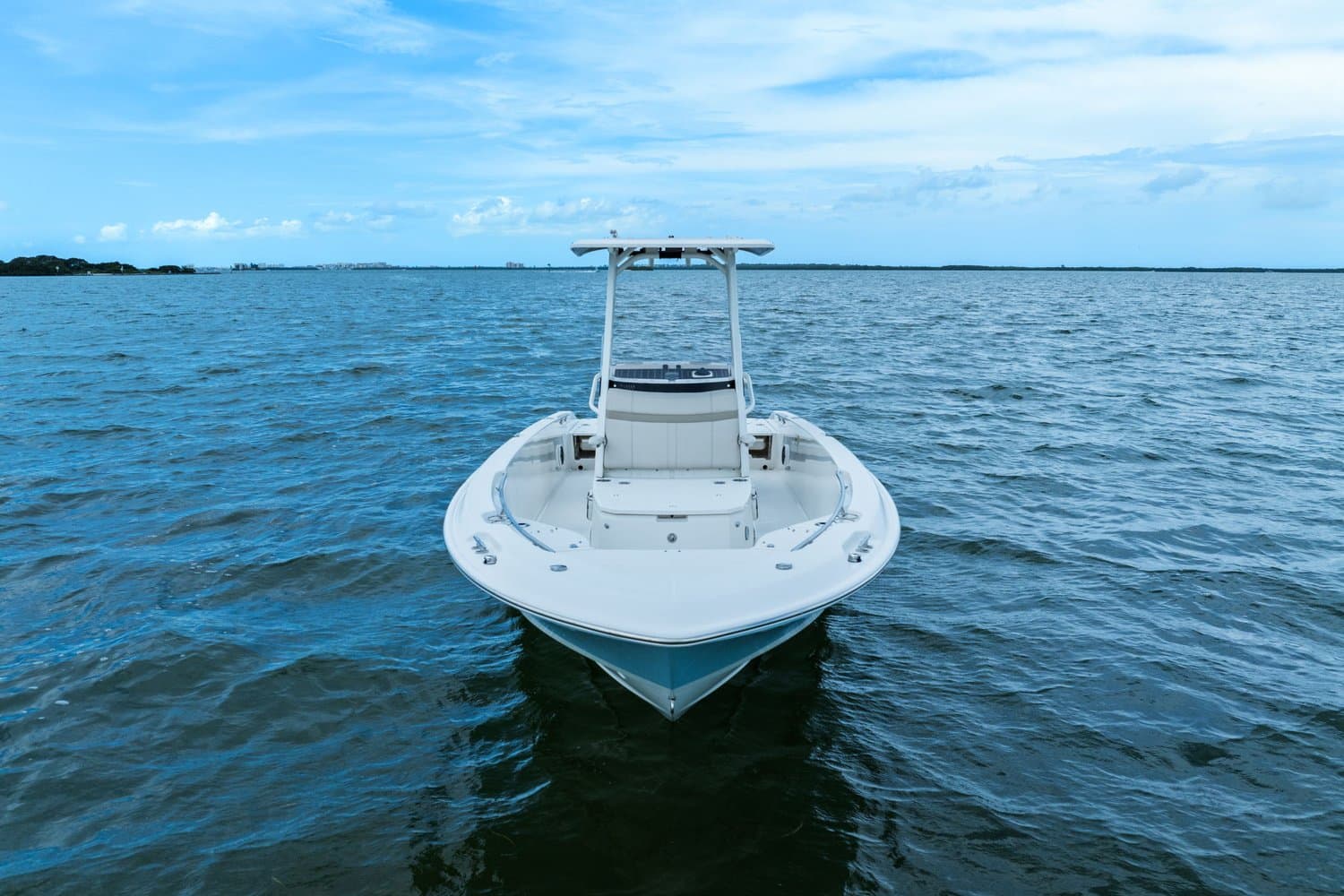 2024 Boston Whaler 250 Dauntless for Sale in St Petersburg, FL Center Console 2
