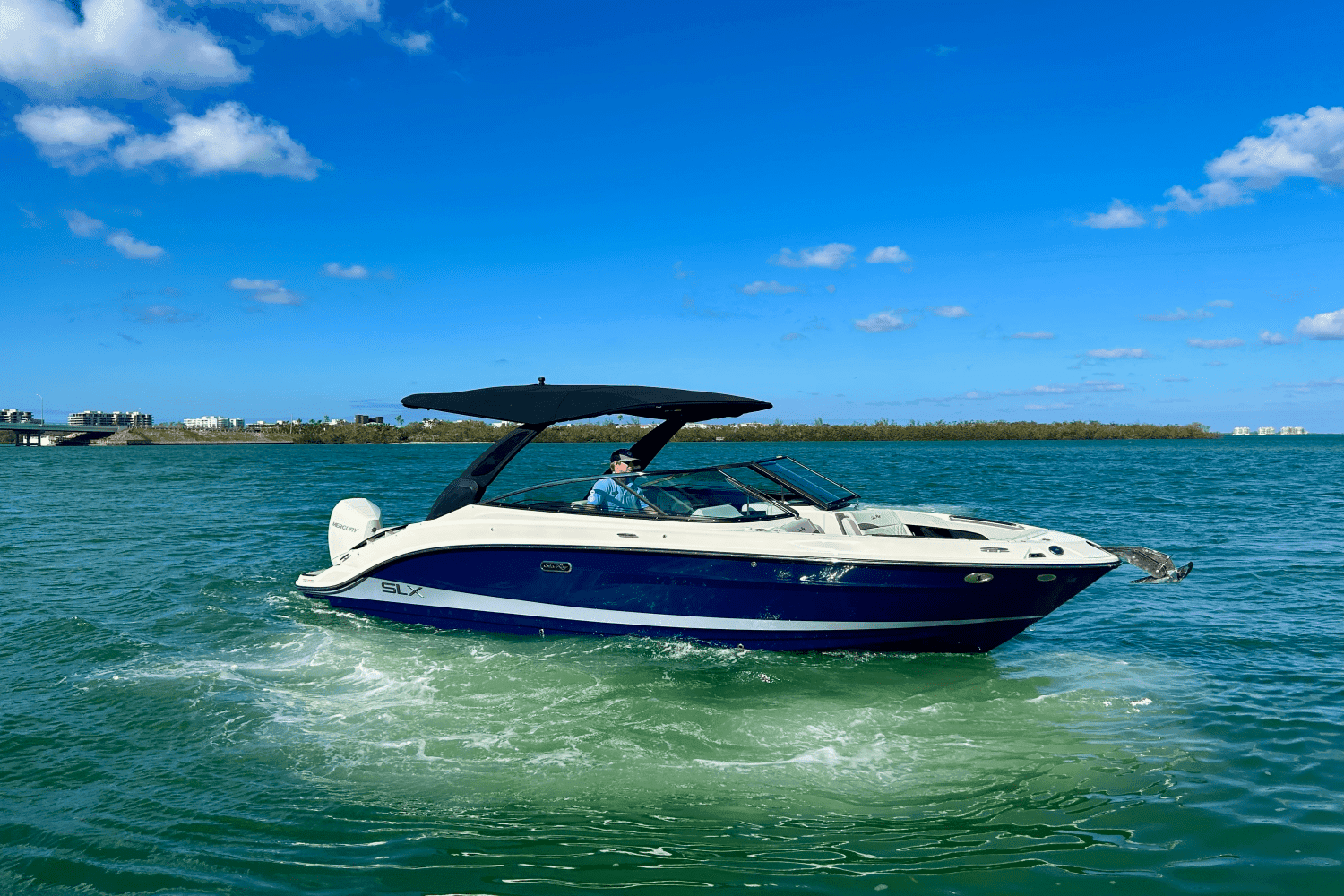 2025 Sea Ray SLX 260 Outboard for Sale in Sarasota, FL Bowrider 3