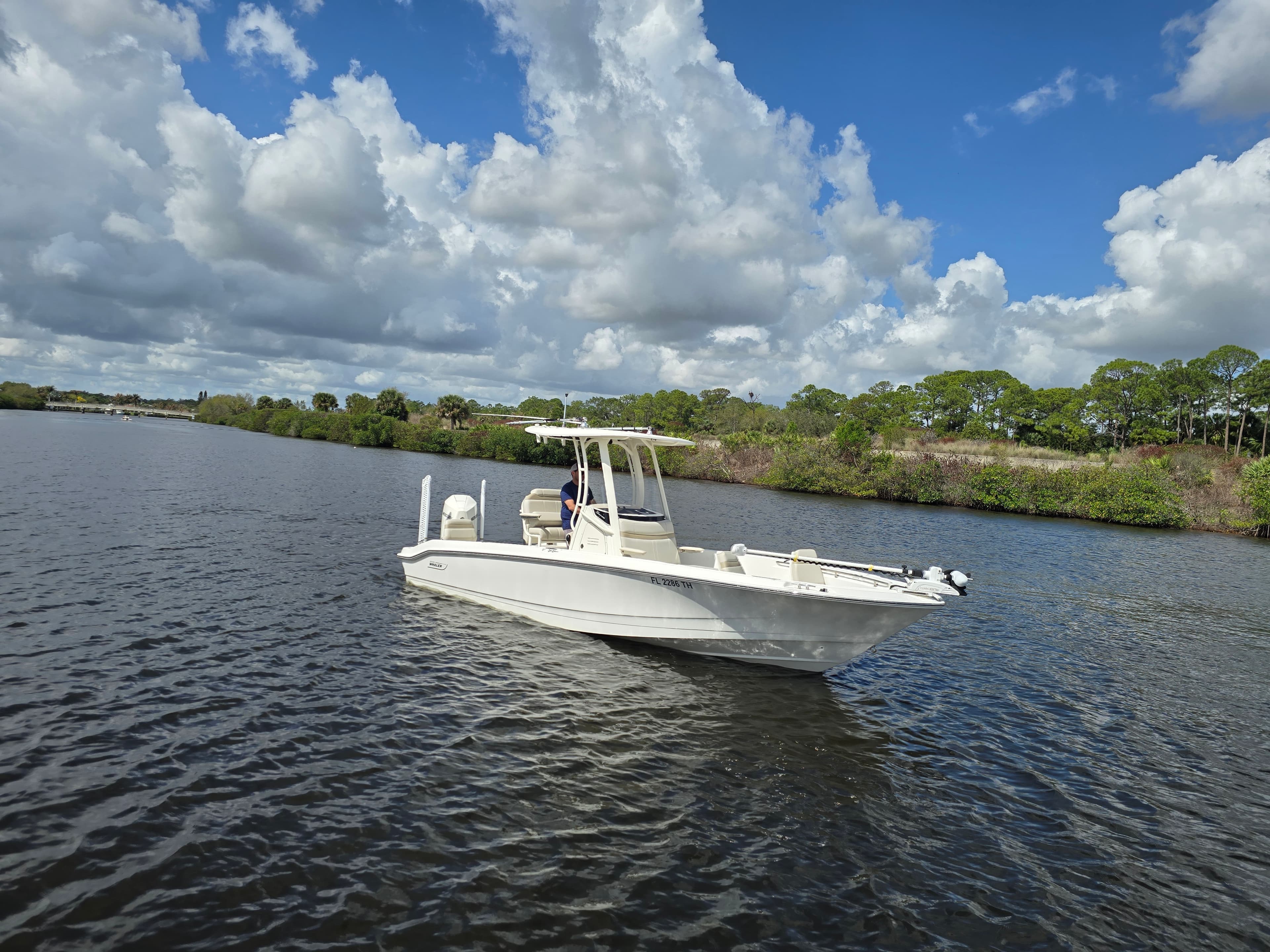 2023 Boston Whaler 250 Dauntless for Sale in Stuart, Florida Center Console 2