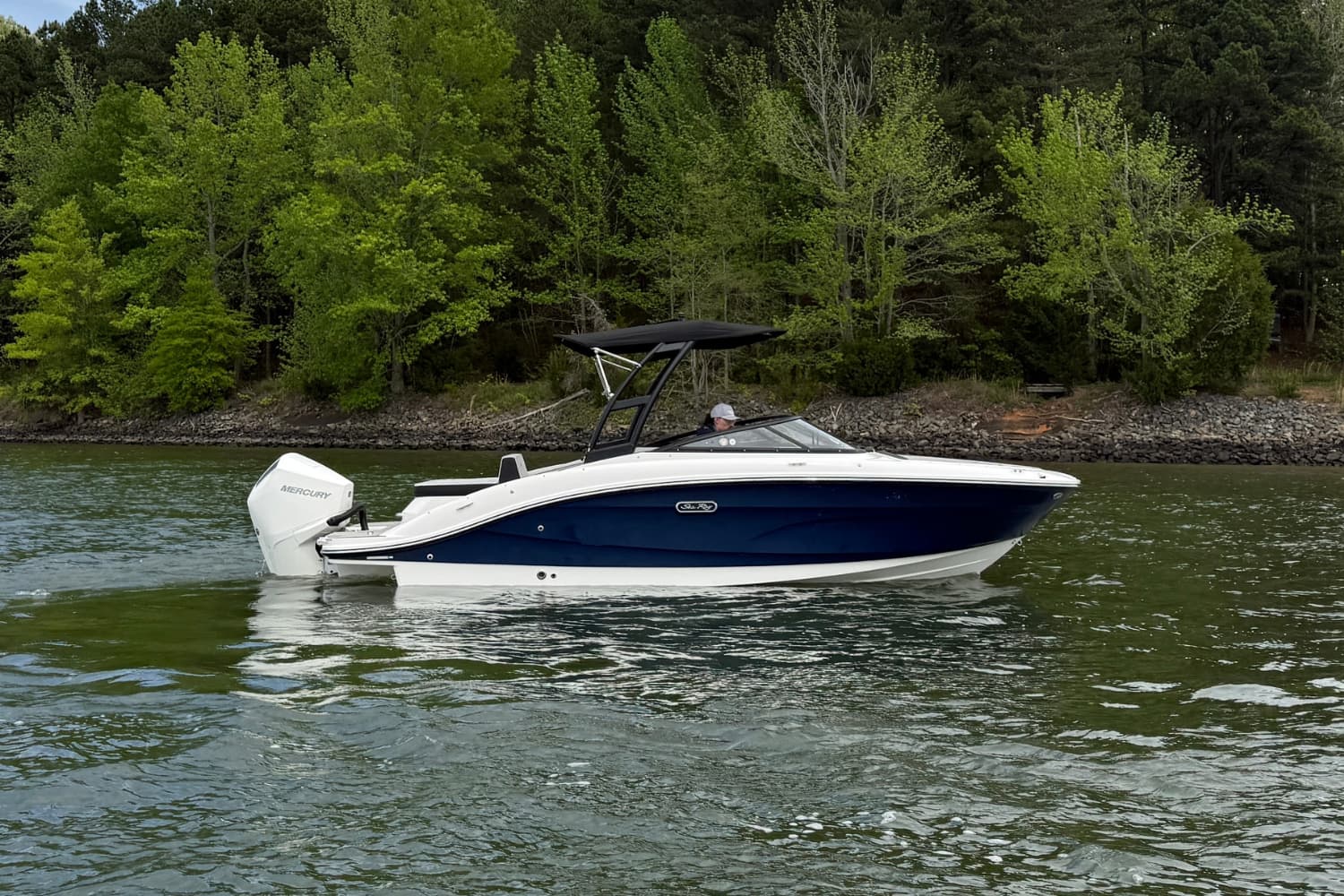 2026 Sea Ray SPX 210 Outboard for Sale in Lake Wylie, SC Bowrider 5