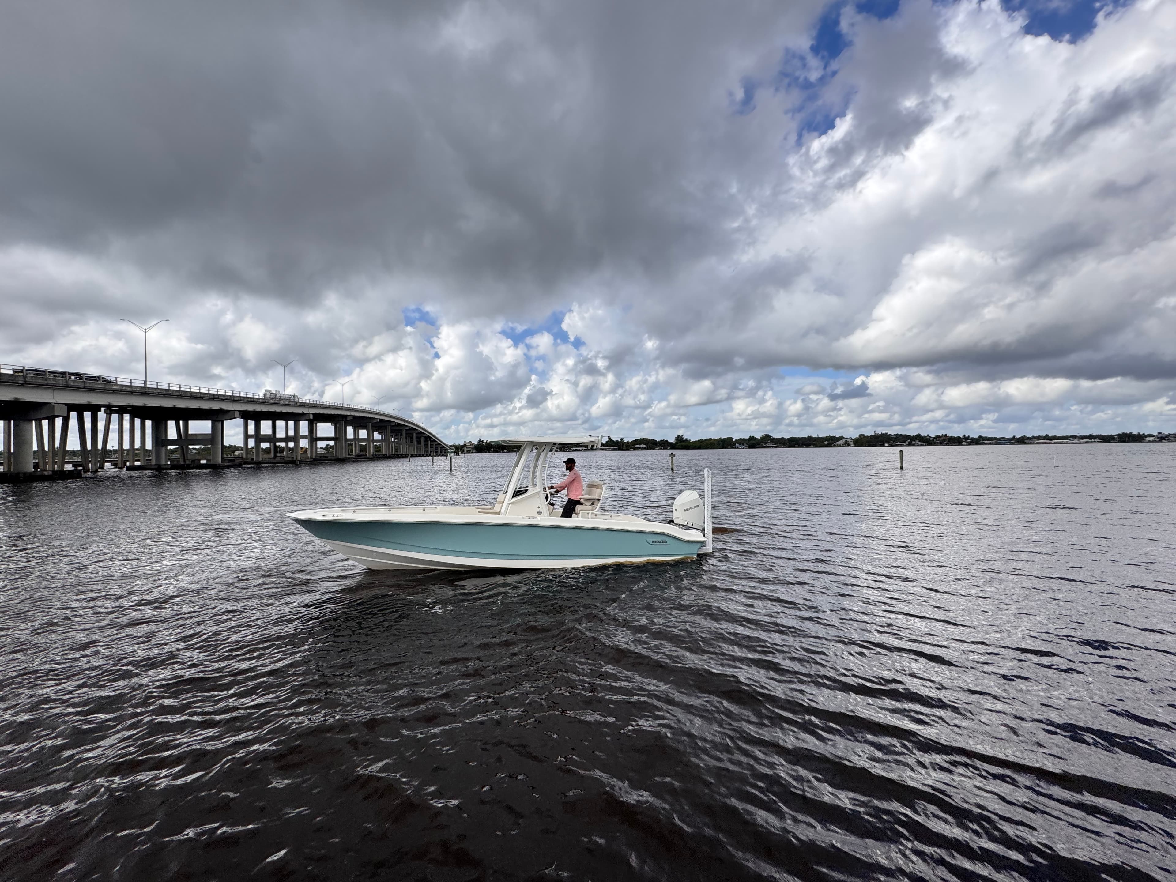 2026 Boston Whaler 250 Dauntless for Sale in Stuart, Florida Center Console